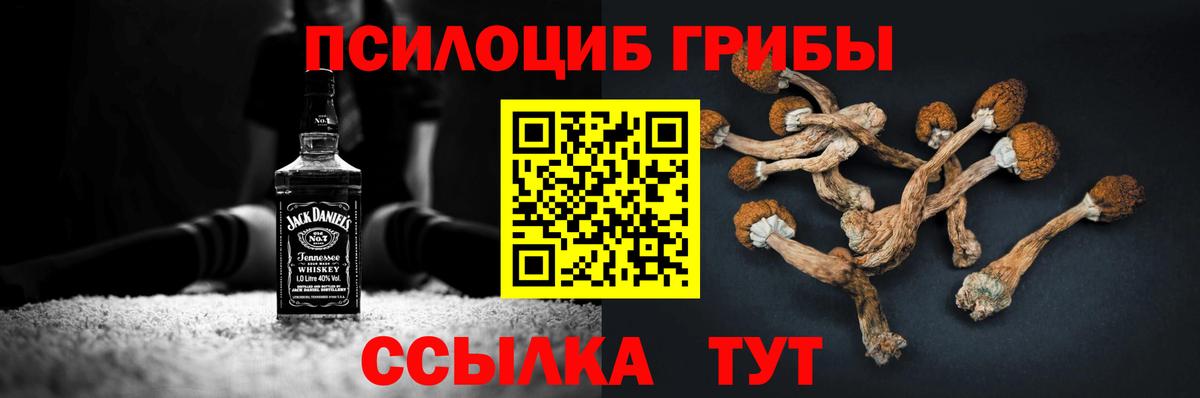 Галлюциногенные грибы Magic Shrooms Тула